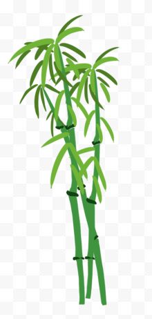 卡通绿色竹子