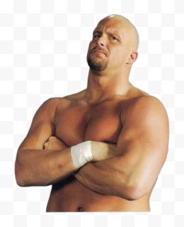 Steve Austin Png