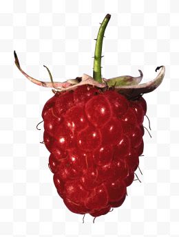 Rraspberry