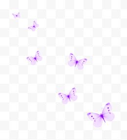 紫色唯美蝴蝶