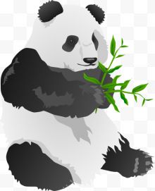 手拿竹子大熊猫