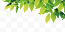 绿色小清新树叶装饰图案