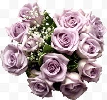 淡紫色玫瑰花