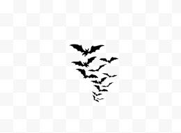 神秘黑白蝙蝠群