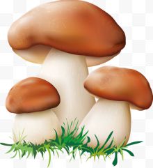 蘑菇高清蘑菇卡通蘑菇...