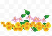 春天盛开的鲜艳的小黄花