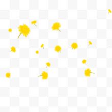 重阳节黄色菊花朵装饰背景免下载