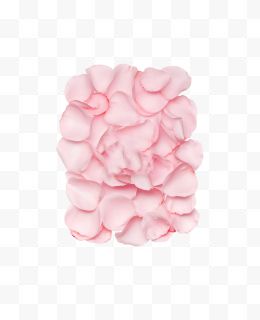 粉色玫瑰花瓣造型