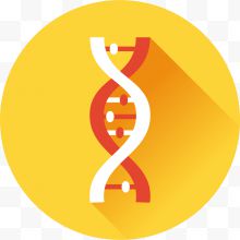 黄色圆形背景矢量DNA