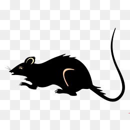 黑色老鼠简笔画