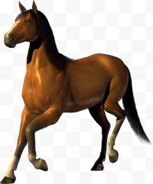 马的形象 背景