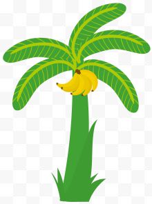 黄绿色果实矢量香蕉树...