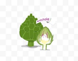 artichoke菜矢量