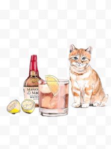 有酒和柠檬汁的猫咪的夏天