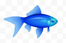 一条蓝色小鱼