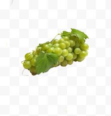 嫩绿色的葡萄