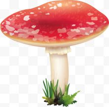 一朵矢量红色蘑菇