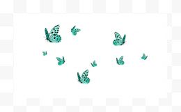 梅花和蝴蝶及杂图（301）