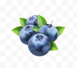 四颗蓝莓