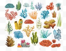 五颜六色的珊瑚和藻类...