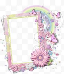 粉色非洲菊相框