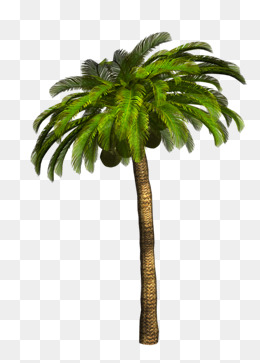 沙滩椰子树图案免抠