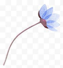 一朵淡蓝色小花