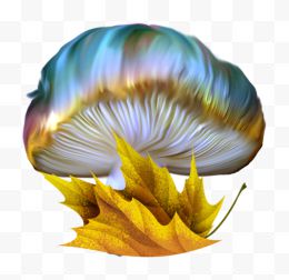 手绘彩色蘑菇
