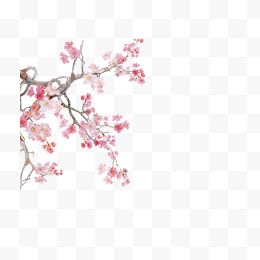 中国风水墨桃花树