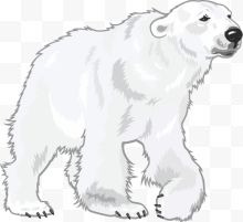 极地白熊