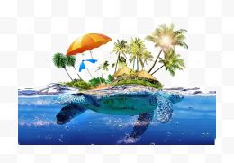海龟上的阳光世界