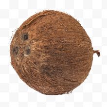 棕色椰子