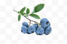 一串新鲜蓝莓