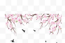 春天精美粉红樱花