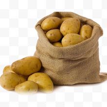 布袋土豆
