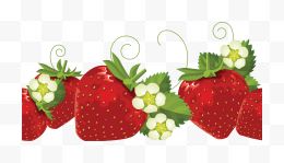 五个草莓