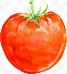 手绘蔬菜西红柿效果图