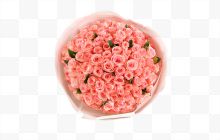 戴安娜粉玫瑰99朵花束