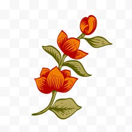 红橙色花朵手绘插画