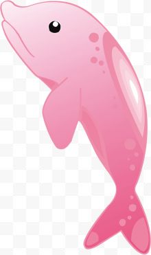 手绘粉色海豚
