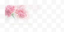 粉色康乃馨背景图