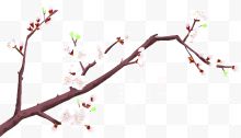 春分节气装饰手绘桃花