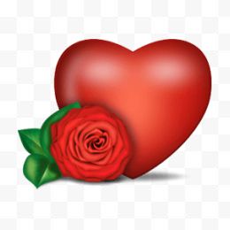 玫瑰和心脏