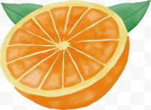 半个黄色橙子