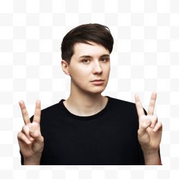 Danisnotonfire V标志