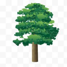 绿色植物层次大树