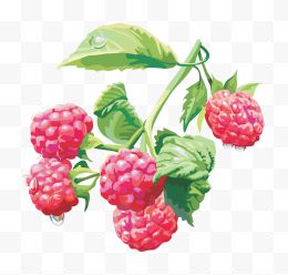 Rraspberry