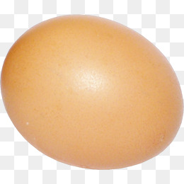 棕色漂亮蛋