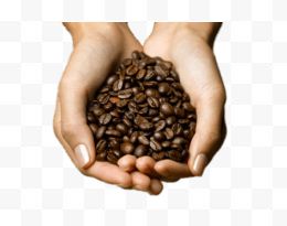 咖啡豆在手中