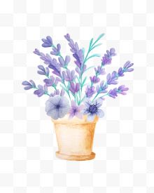 水彩蓝色鲜花盆栽